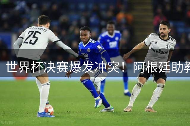 世界杯决赛爆发冲突！阿根廷助教阿亚拉赛后挥拳遭众名宿痛批