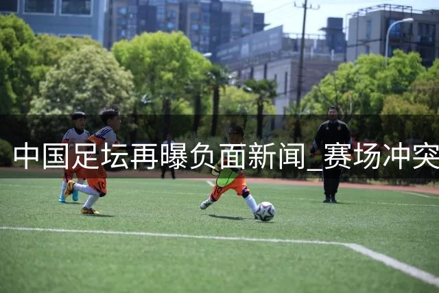 中国足坛再曝负面新闻 赛场冲突与事件引发关注