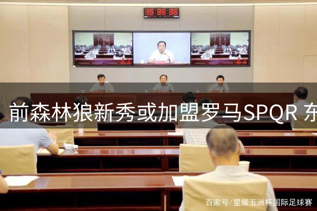 前森林狼新秀或加盟罗马SPQR 东契奇持股俱乐部引关注
