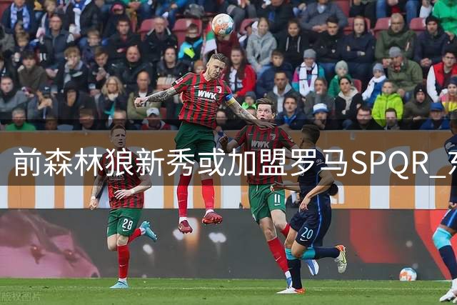 前森林狼新秀或加盟罗马SPQR 东契奇持股俱乐部引关注