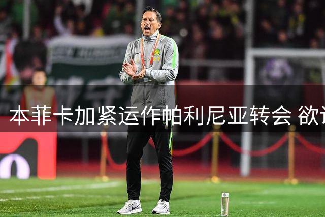 本菲卡加紧运作帕利尼亚转会 欲说服拜仁放人