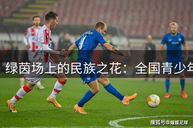 绿茵场上的民族之花：全国青少年女足赛绽放团结力量